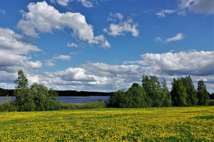 Kumpupilviä kesäisenä päivänä.