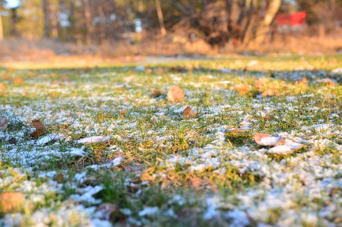 Yöpakkasten jälkeen muodostunut kuurakerros ja hento lumipeite