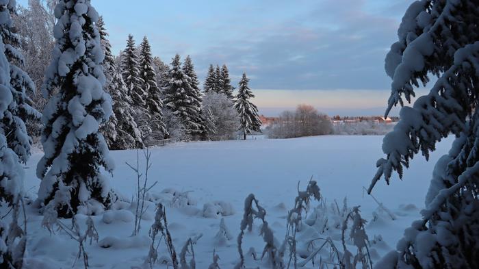Tapaninpäivänä vallitsi kipakka pakkassää.