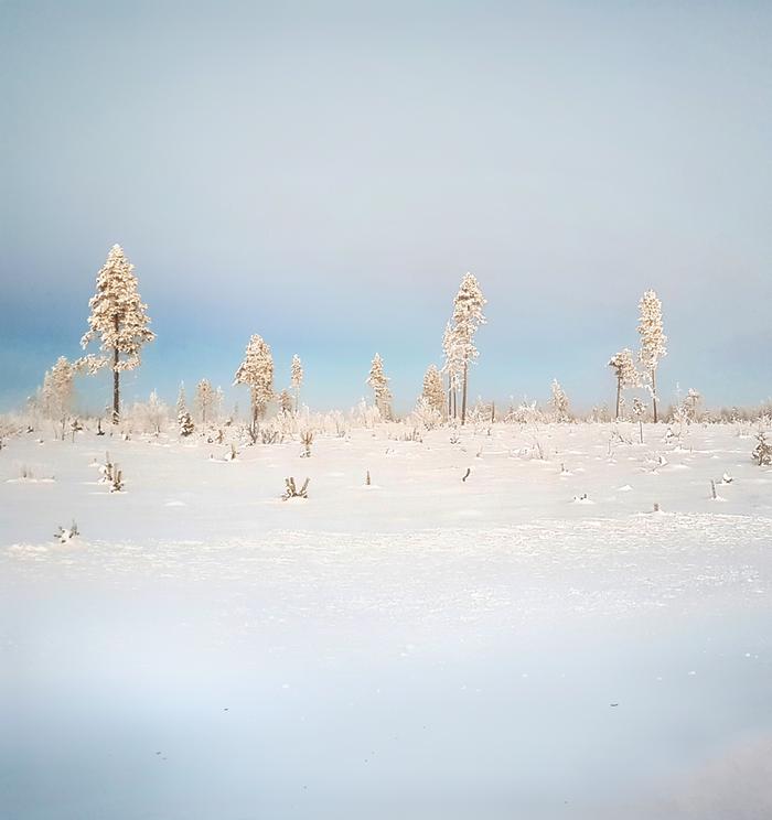 Pakkanen paukkuu Lapin talvessa.