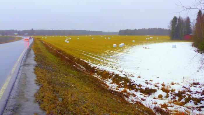 Vesisadetta Vaasan seudulla helmikuussa 2020.