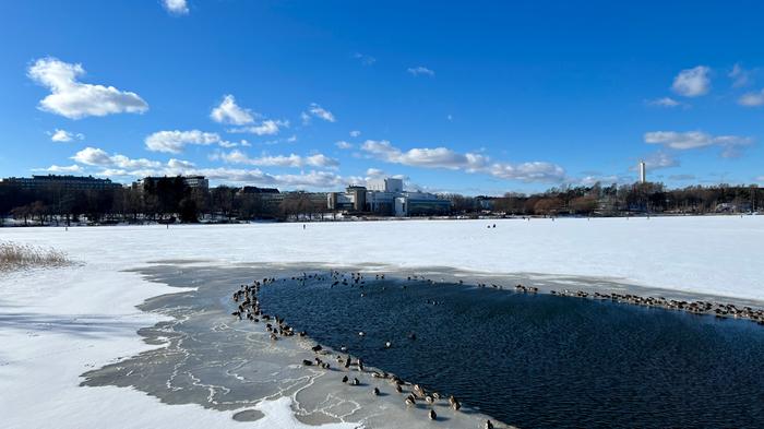 Aurinkoinen maaliskuun päivä Helsingissä.