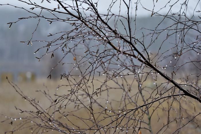 Harmaan pilvistä marraskuista säätä.