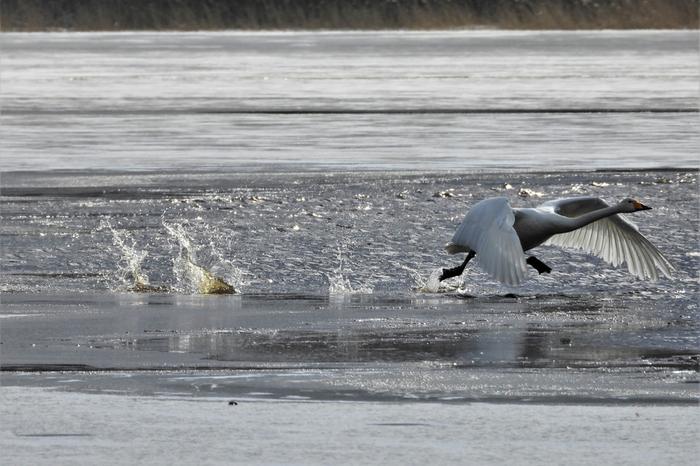 Aurinkoinen ja kylmä kevätpäivä