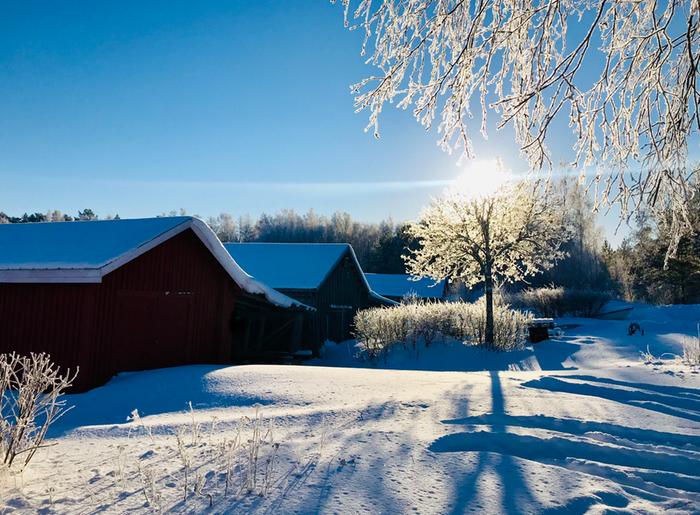 Aurinkoinen päivä sydäntalven jälkeen.