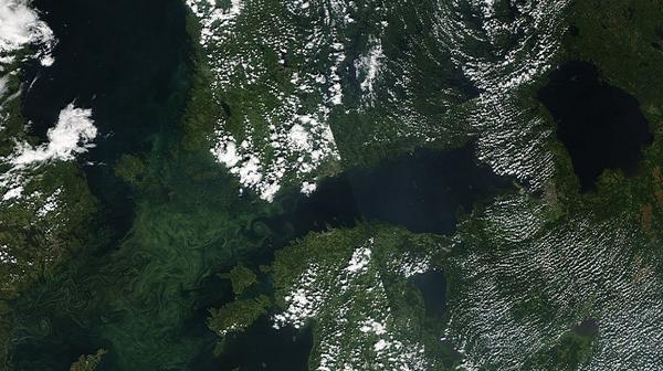 Lämpimän ja aurinkoisen kesän seurauksena Itämerelle syntyi heinäkuussa 2014 massiivisia sinilevälauttoja.