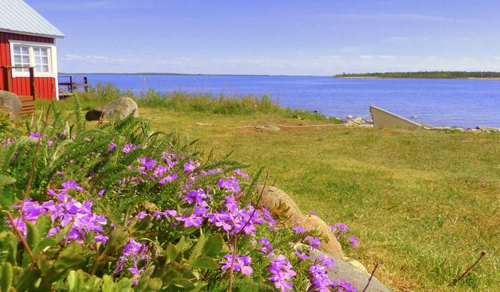 Aurinkoinen kesäpäivä Lohtajalla.