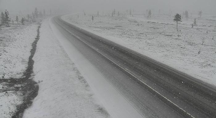 Lumisateita tiellä 4 Inarissa Saariselällä 21. toukokuuta 2021 kello 12.42.