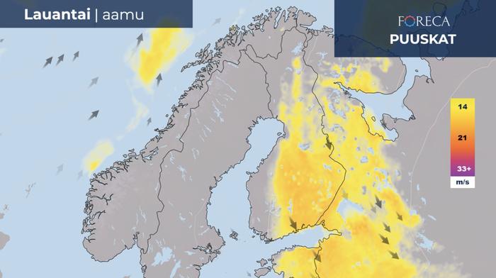 Puuskat 11.5.2024 Puuskat 11.5.2024