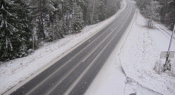 Lumisadetta Loimaalla satoi lunta 1. marraskuuta 2024.