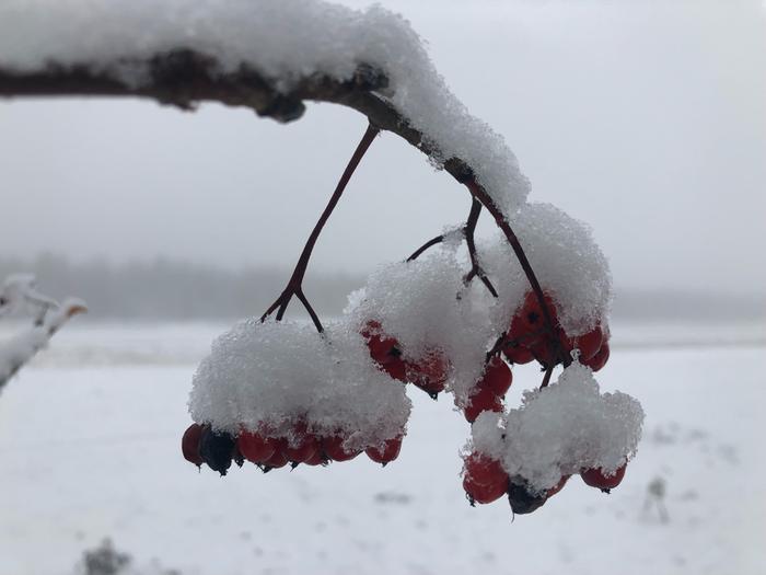 Suojasää laskeutui Nummelan lentokentälle.