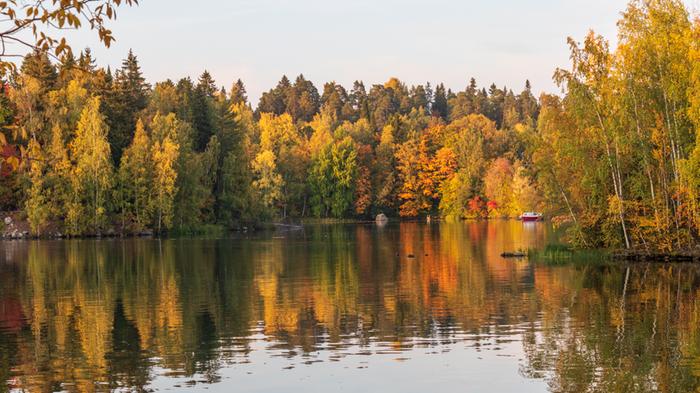 Ruska on alkanut Nokianvirran rannalla