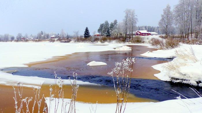 Kyrönjoen jäitä ja virtausta helmikuussa 2021.