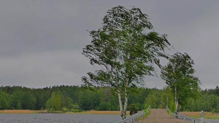 Tummaa taivasta ja tuulta.