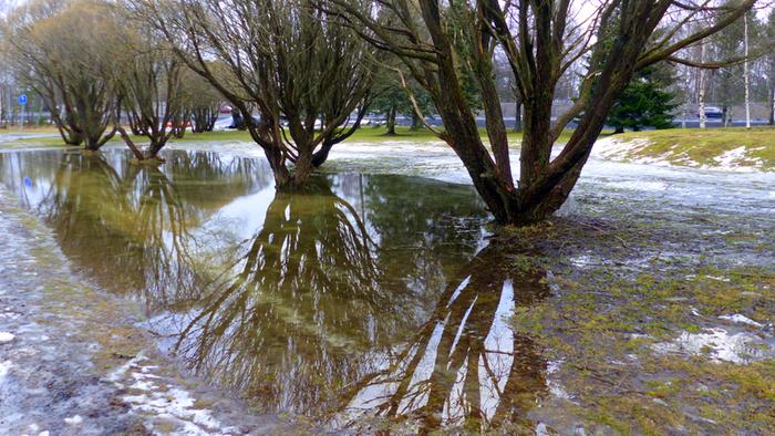 Lauhaa ja märkää maaliskuun säätä Vaasassa.