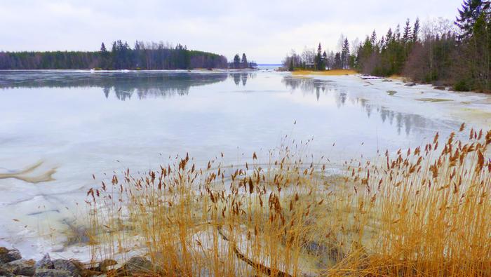 Vettä jään päällä merellä Vaasan seudulla maaliskuussa 2020.
