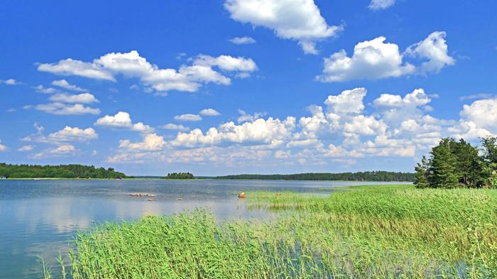 Hellettä Uudessakaupungissa kesäkuussa 2022.