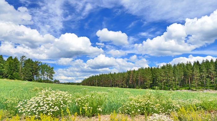 Kumpupilvet alkavat usein muodostua taivaalle päivällä ja sadekuurot yleistyvät iltapäivän kuluessa.