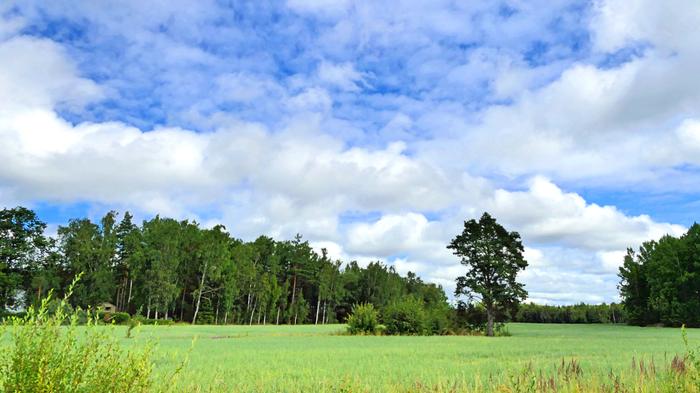Sää on vaihtelevaa.
