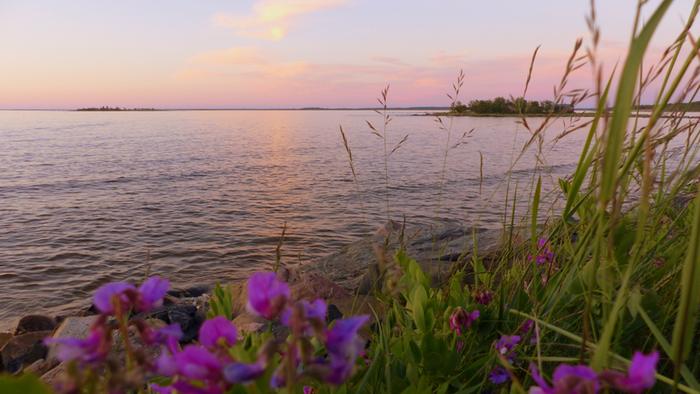 Merimaisema juhannusyönä.