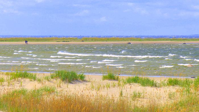 Tuulista säätä ja vaahtopäitä.