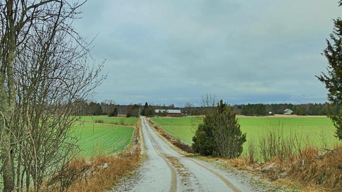 Lumet vähissä Lumet olivat vähissä lounaassa Uudessakaupungissa helmikuun alussa 2025.