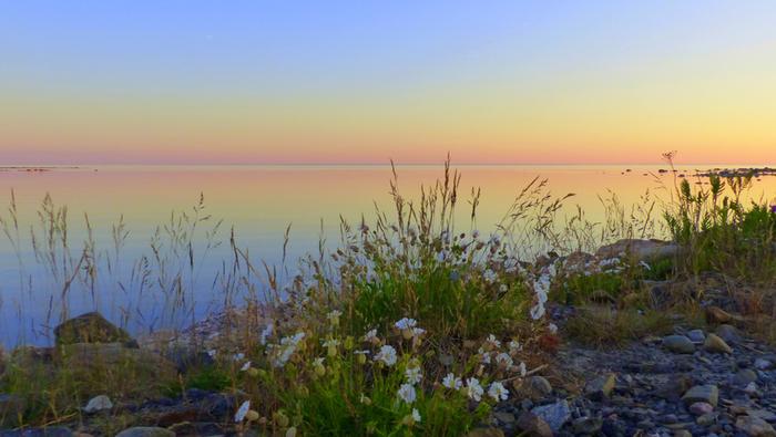 Trooppinen ja lämmin kesäyö.