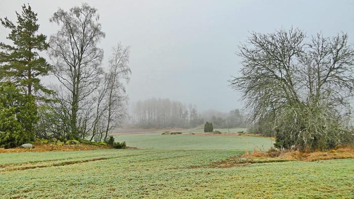 Sumuinen ja vihreä pelto Uudessakaupungissa helmikuussa 2025.