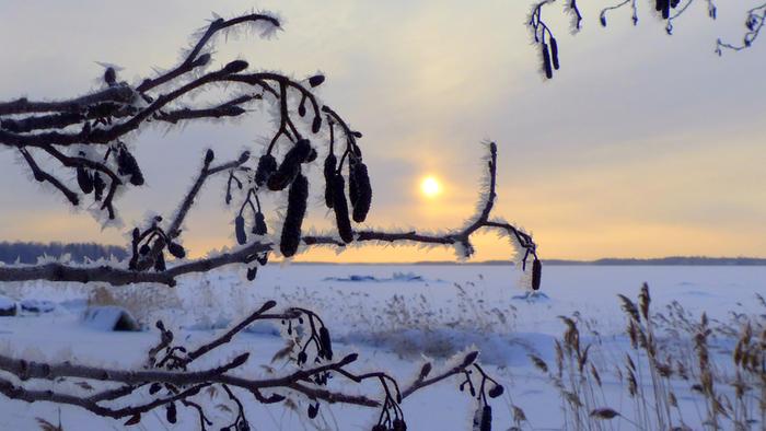 Tammikuun pakkasta Vaasassa.