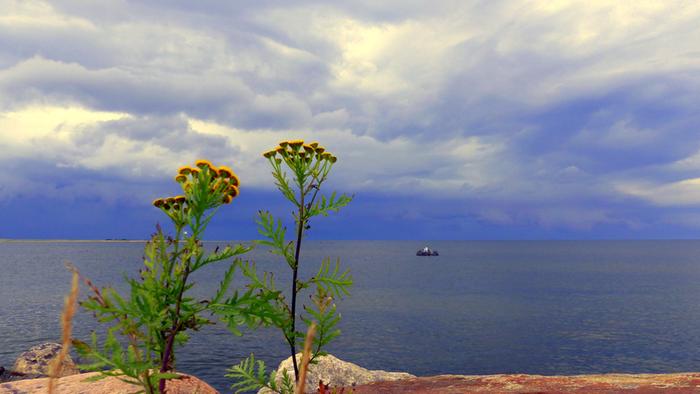 Synkkä pilvi Ukkosta ilmassa.