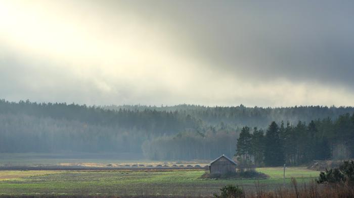 Syksyisen kostean utuinen päivä.