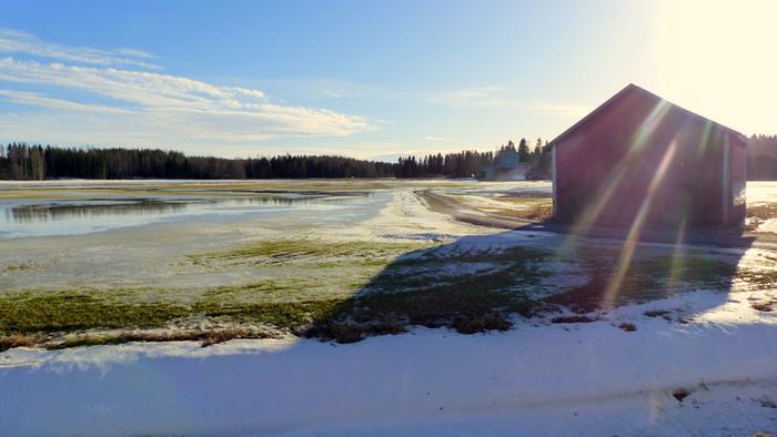 Maaliskuista aurinkoa.