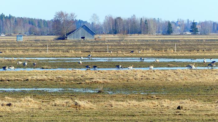 Keväinen huhtikuun päivä Vaasassa 2019.