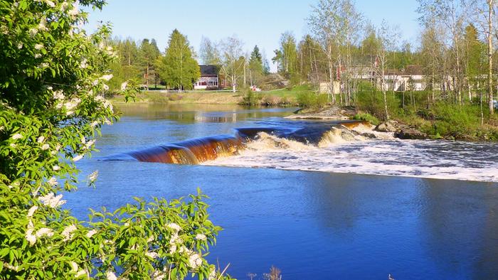Keväinen koski Ylistarossa toukokuussa 2019.