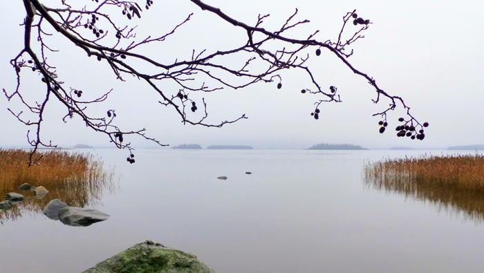 Marraskuun tihkusadetta.