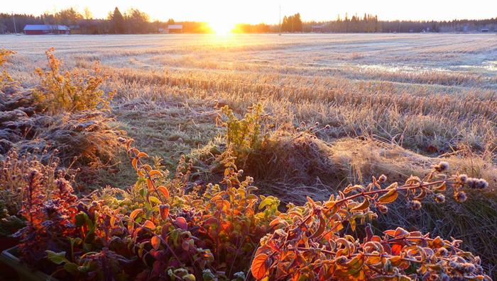 Kuura Kuurainen maisema.