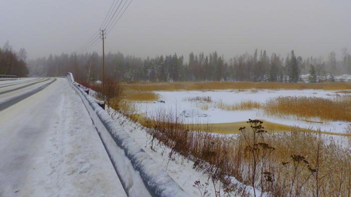 Sään lauhtuminen laukaisi sumuja.