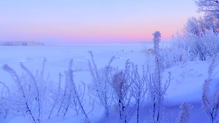Pastellinen taivas Pastellin sävyinen taivas lumisessa maisemassa.