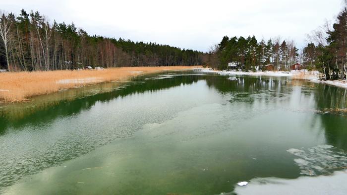 Föhn-tuuli toi lauhaa ilmaa Suomeen 12. helmikuuta 2023.