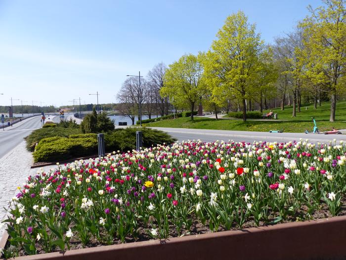 Aurinkoinen Vaasa Vaasassa oli keväistä 22. toukokuuta 2022.