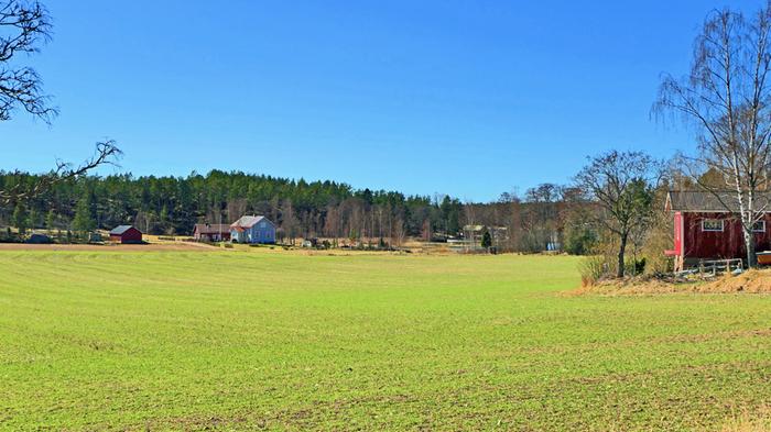 Aurinkoinen huhtikuun päivä ja keväistä vihreää.