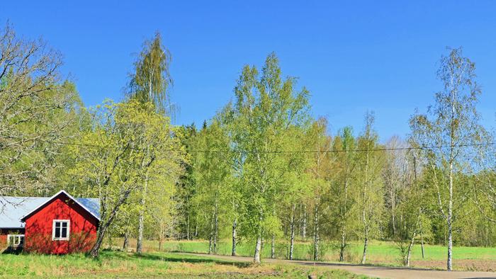 Aurinkoinen toukokuun päivä Toukokuun vihreyttä Uudessakaupungissa.