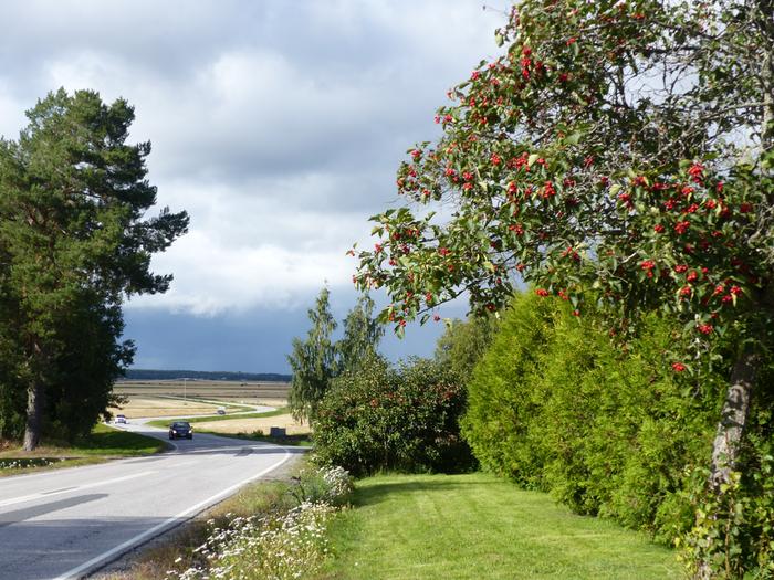 Syyskuinen päivä Vaasassa.