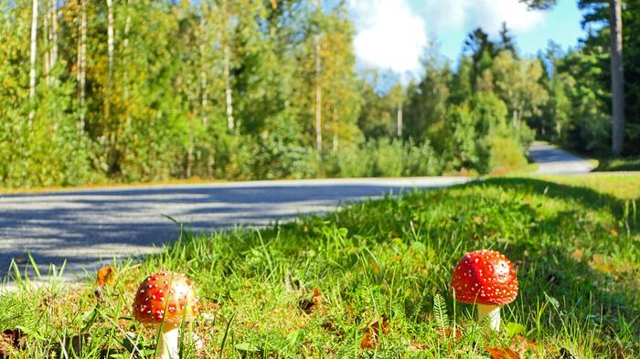 Syyskuun aurinkoinen päivä Uudessakaupungissa.