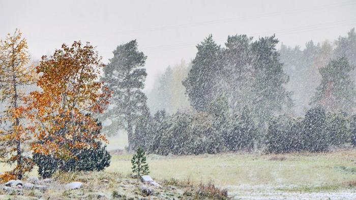 Varsinais-Suomessa satoi lunta lokakuun lopussa 2023.