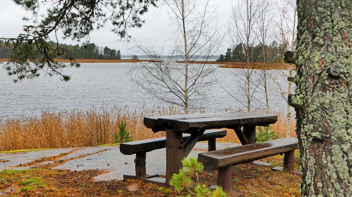 Marraskuun harmautta Marraskuun harmautta.