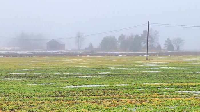 Lauhaa Maaliskuun alussa 2026 lounaassa oli lauhaa ja sumuista säätä.
