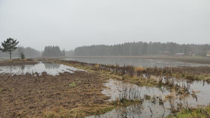 Sulaneet lumet saivat pellot paikoin vetisiksi Länsi-Suomessa.