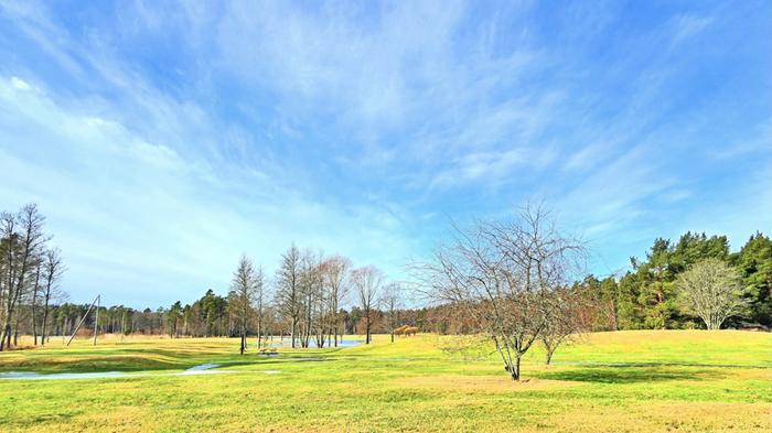 Maaliskuun alku 2026 paljasti jo paikoin vihreää nurmikkoa.