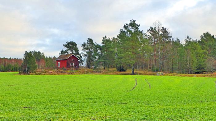 Taivassalossa oli vihreää 23. marraskuuta 2023.